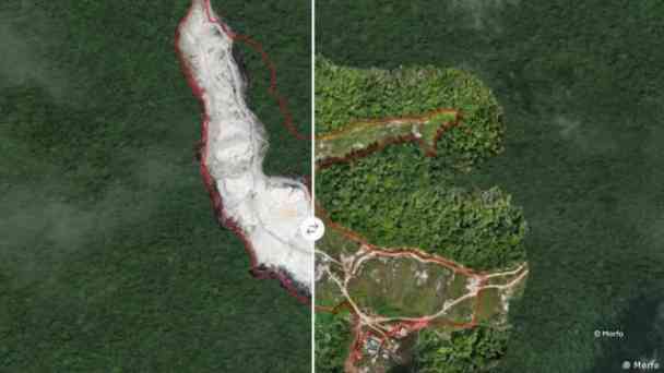 Bäume pflanzen mit Künstlicher Intelligenz kostenlos streamen | dailyme