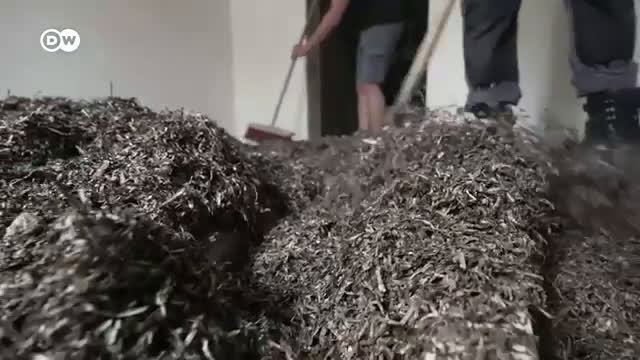 Seegras für den Hausbau