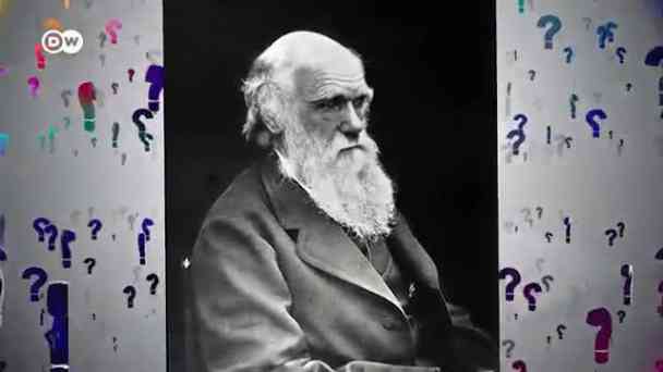 Warum der Pfau so schöne Federn hat kostenlos streamen | dailyme