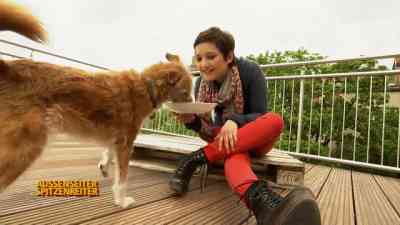Folge 415 kostenlos streamen | dailyme