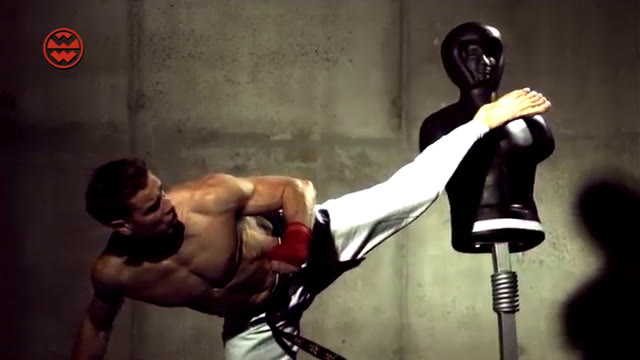 Highspeed: Karate Sidekick