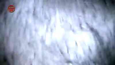 Tödliche Gefahr beim Baden kostenlos streamen | dailyme