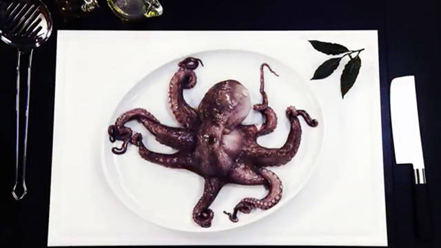 Oktopus vorbereiten