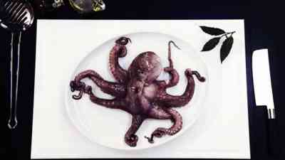 Oktopus vorbereiten kostenlos streamen | dailyme