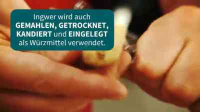 Ingwer kostenlos streamen | dailyme
