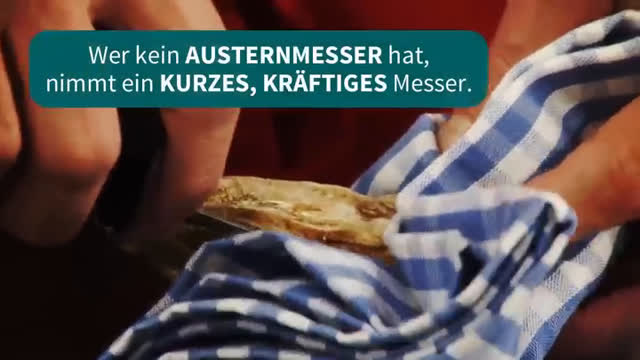 Auster vorbereiten