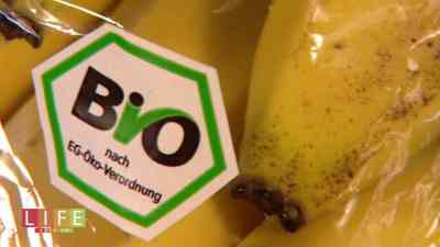 12.1 - Wie gesund sind Bio-Produkte? | Life Goes On kostenlos streamen | dailyme