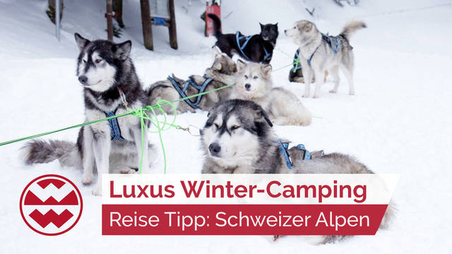 Winter-Camping: Luxus Urlaub in den Schweizer Alpen | LIT