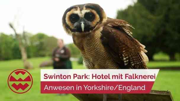 Reise Tipp: Swinton Park Hotel-Anwesen mit eigener Falknerei | LIT kostenlos streamen | dailyme