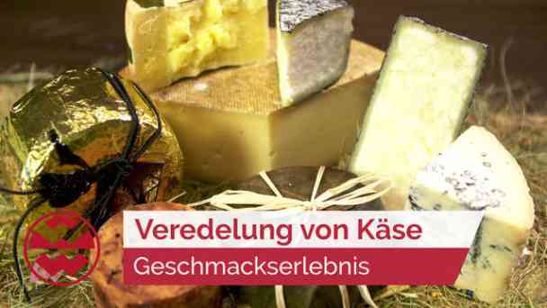 Käse-Veredelung: Die Kunst der Affinage | LIT kostenlos streamen | dailyme