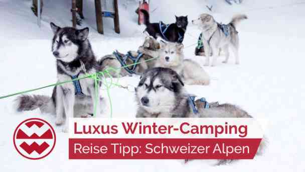 Winter-Camping: Luxus Urlaub in den Schweizer Alpen | LIT kostenlos streamen | dailyme