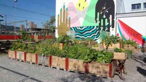 Urban Farming ¿ Gemüse aus der Stadt kostenlos streamen | dailyme