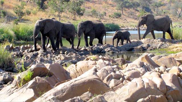 Abenteuer extrem - Südafrika mit Charley Boorman - Der Krüger-Nationalpark und Johannesburg