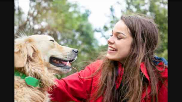 Study Says Petting Dogs or Cats Can Reduce Stress kostenlos streamen | dailyme
