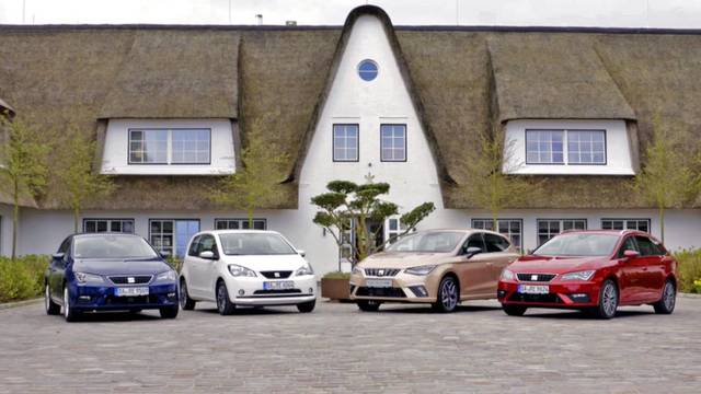 Seat Erdgasmodelle