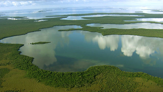 Der Everglades-Nationalpark