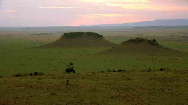 Serengeti (2) kostenlos streamen | dailyme