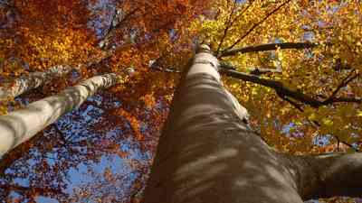 Wilde Heimat (3) kostenlos streamen | dailyme