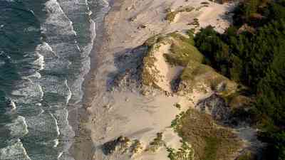 Zwischen Ebbe und Flut - Tiere am Strand kostenlos streamen | dailyme