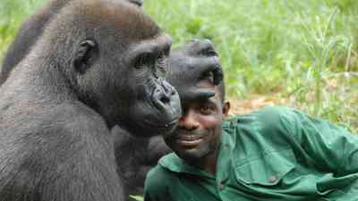 Bama der Gorillamann kostenlos streamen | dailyme