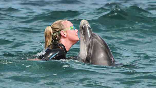 Die Delfinflüsterin kostenlos streamen | dailyme