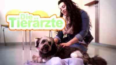 Die Tierärzte (3) kostenlos streamen | dailyme