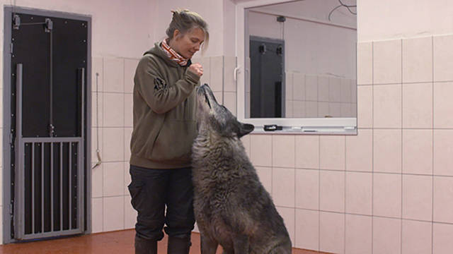 Kates Tierwelt (18)