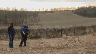 Kates Tierwelt (17) kostenlos streamen | dailyme