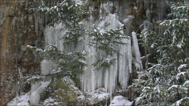 Zwölf Monate Natur - Februar