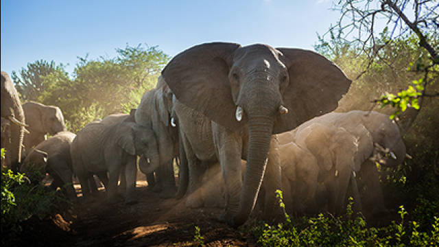 Afrikas Naturwunder