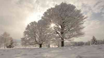 Winterwunderland kostenlos streamen | dailyme