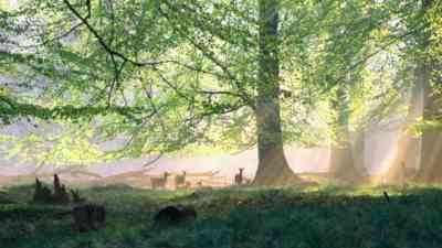 Verzauberter Wald kostenlos streamen | dailyme