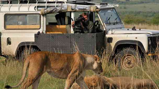 Serengeti kostenlos streamen | dailyme