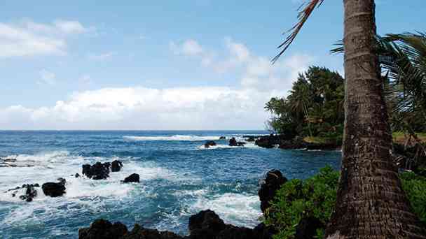 Hawaii kostenlos streamen | dailyme