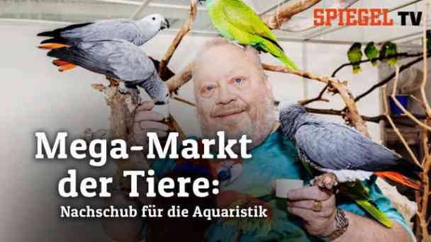 Mega-Markt der Tiere: Nachschub für die Aquaristik (S2 Folge1) kostenlos streamen | dailyme
