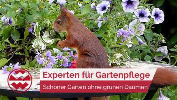 Experten für Pflanzenpflege: Schöner Garten ohne grünen Daumen | Franchise Me kostenlos streamen | dailyme