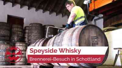 Charakterstarker Single Malt Whisky aus Schottland | Geistreich kostenlos streamen | dailyme