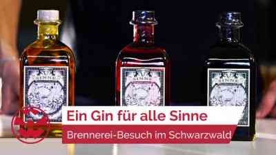 Gin aus dem Schwarzwald mit allen Sinnen erleben | GeistReich kostenlos streamen | dailyme