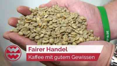 Familienunternehmen setzt auf fairen Kaffee-Handel | GenussMomente kostenlos streamen | dailyme