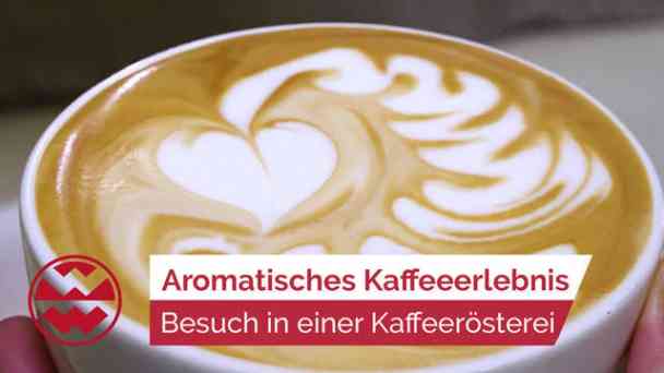 Von der perfekten Bohne zum aromatischen Kaffeeerlebnis | GenussMomente kostenlos streamen | dailyme