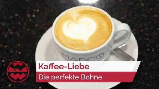 Kaffee-Liebe: Von der Bohne bis zum perfekten Aroma | GenussMomente kostenlos streamen | dailyme