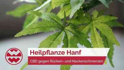Hanf: Die heilende Kraft von CBD Öl - Life Goes On kostenlos streamen | dailyme