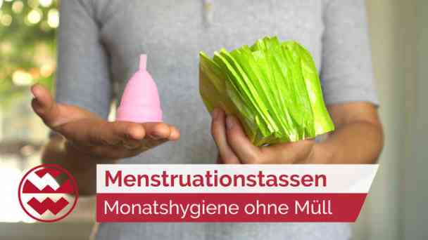 Menstruationstassen: So funktioniert die "Zero Waste Menstruation" | Ladylike kostenlos streamen | dailyme