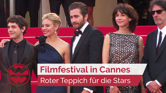 Stars auf dem roten Teppich: Filmfestival in Cannes | LIT
