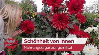 Schönheit von Innen: Nahrungsergänzungsmittel für eine schöne Haut | Ladylike kostenlos streamen | dailyme