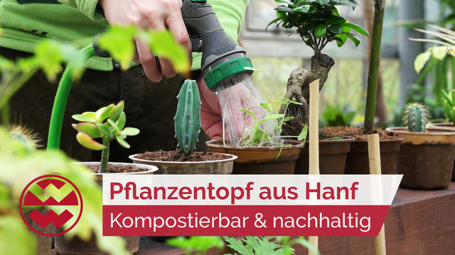Der kompostierbare Hanf-Pflanzentopf für einen plastikfreien Garten | Green Life