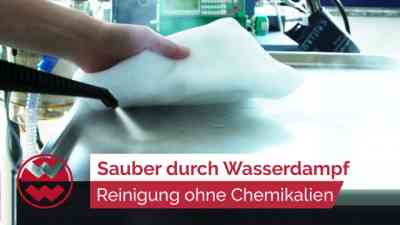Ökologische Reinigung mit Wasserdampf | Green Life kostenlos streamen | dailyme