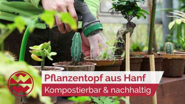 Der kompostierbare Hanf-Pflanzentopf für einen plastikfreien Garten | Green Life kostenlos streamen | dailyme
