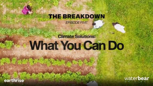 The Breakdown: Climate Solutions: What You Can Do