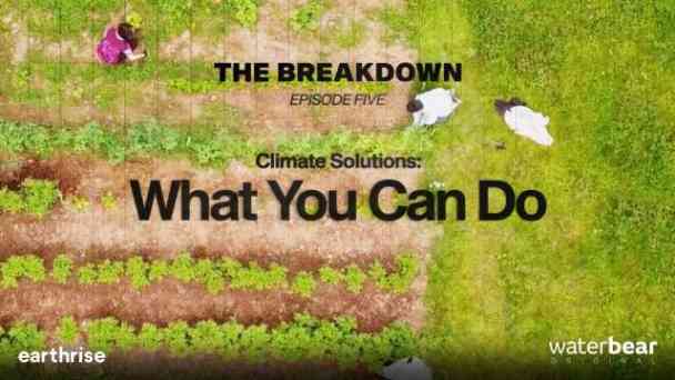 The Breakdown: Climate Solutions: What You Can Do kostenlos streamen | dailyme